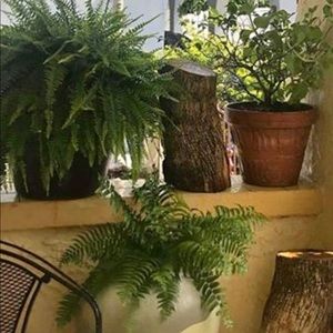 Meet your Posher, Maria